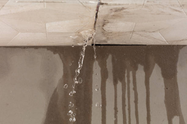 Professional Water Damage Repair technician working in Middlesex, NC